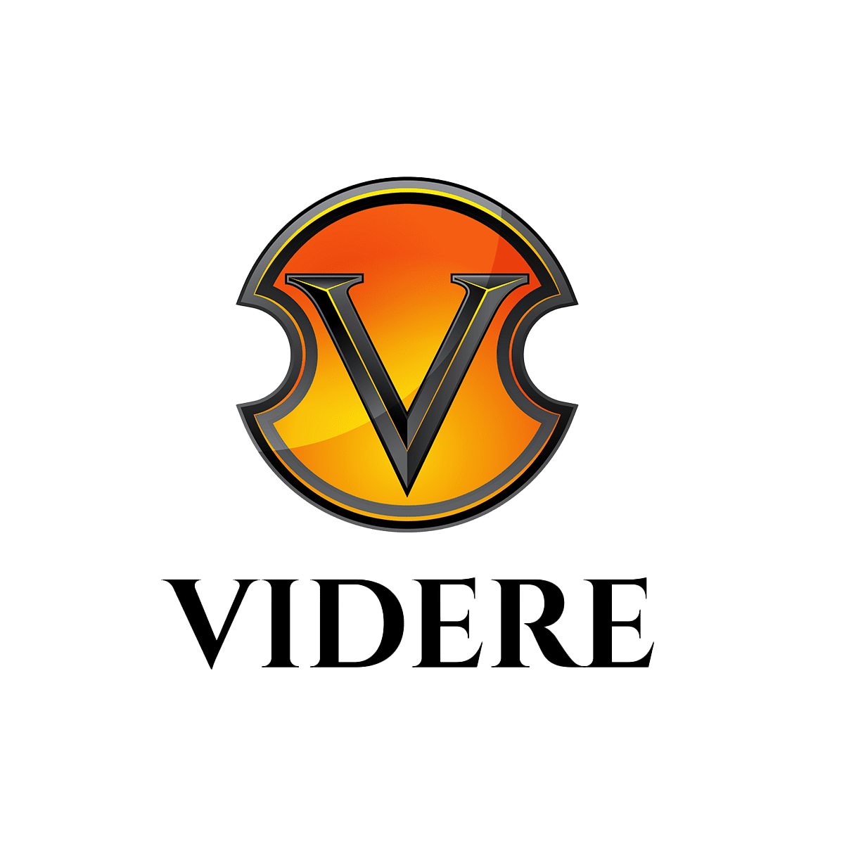 Videre is an extraordinary collection of experts that understand the […]